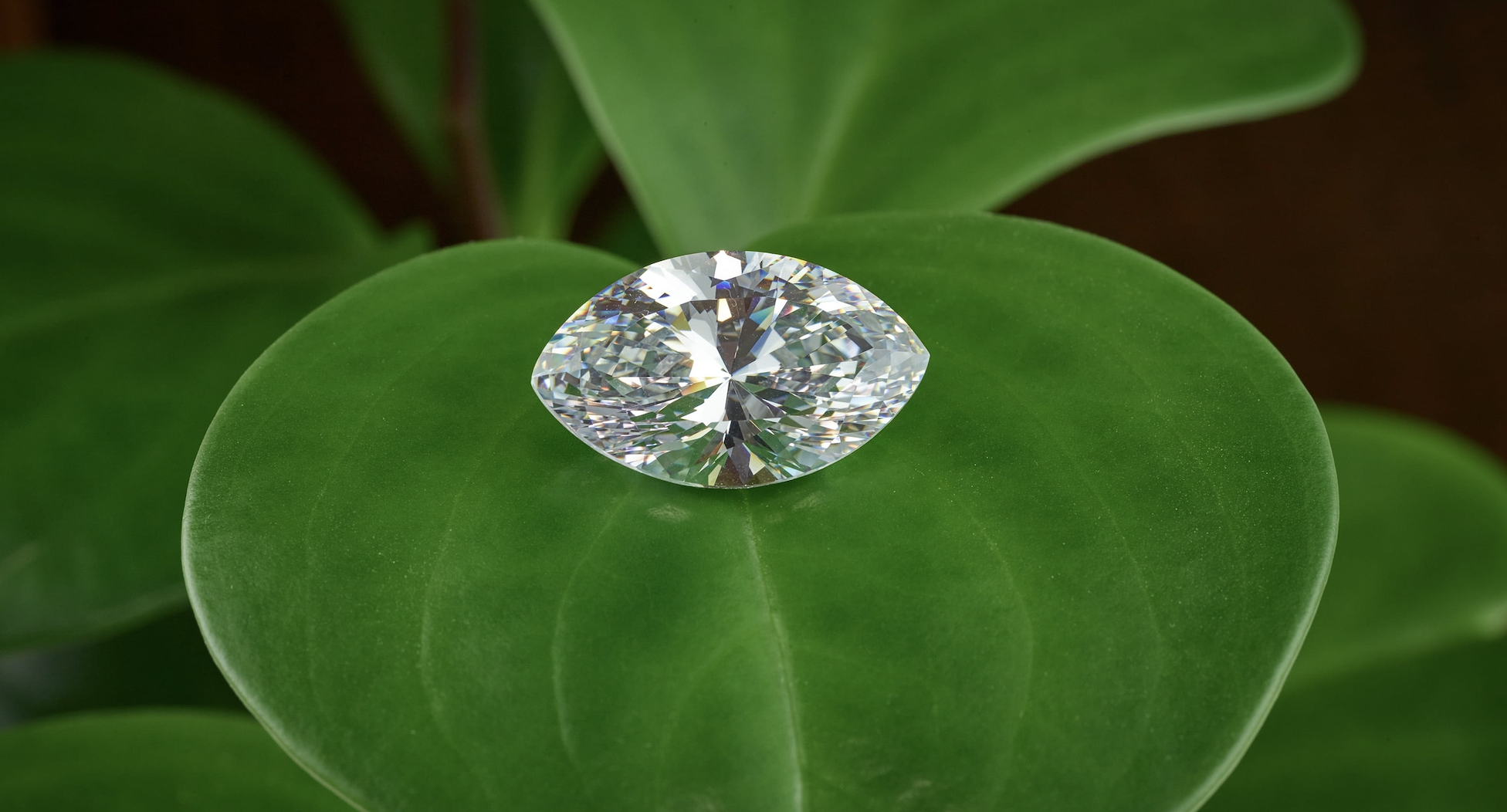 Marquise