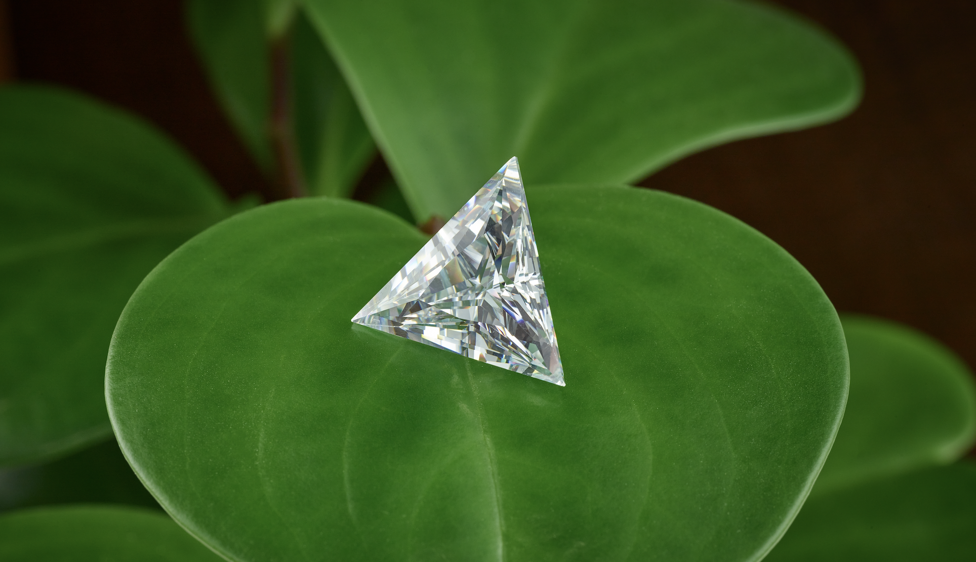 Triangle